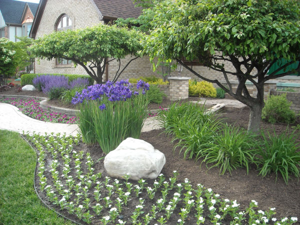 Landscape Design and Plantings Landscape Design and Plantings