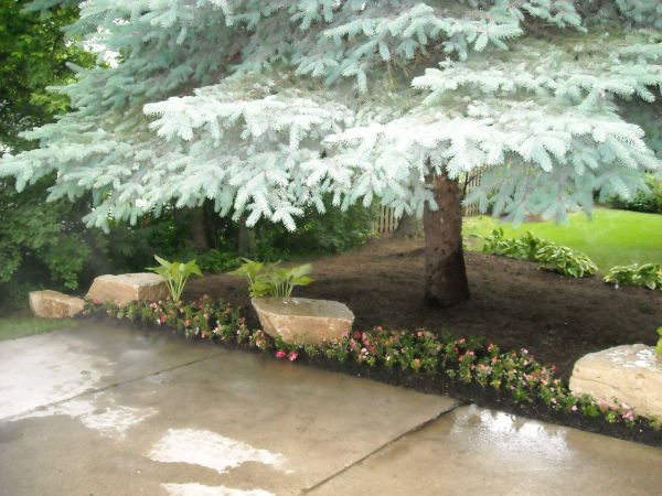 Landscaping Contractor - Plantings Landscaping Contractor - Plantings