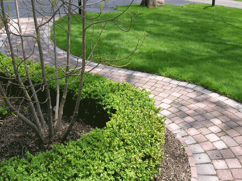 Brick Paver Walkway