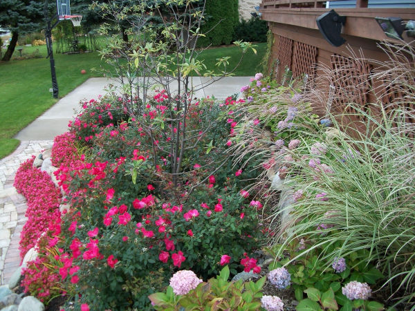 plantings and landscape design plantings and landscape design