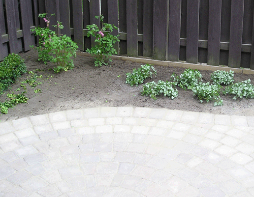 Troy Michigan landscaped home